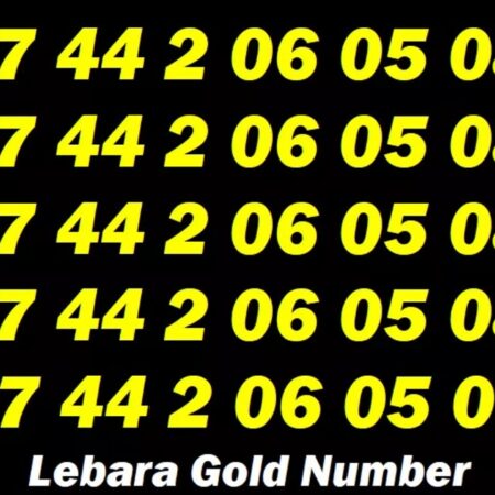 07 44 2 06 05 08 Lebara Exclusive Gold VIP Mobile Phone Number