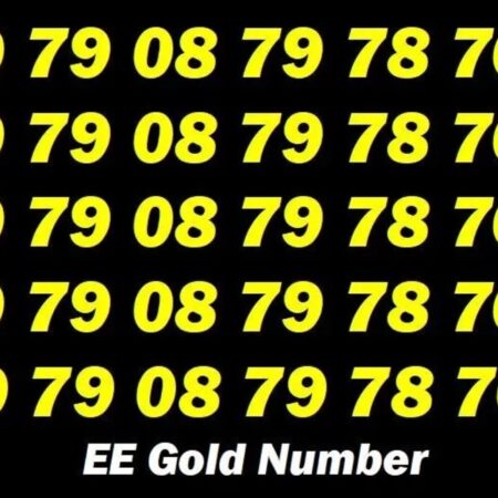 0 79 08 79 78 76 EE Vip Golden Mobile Number