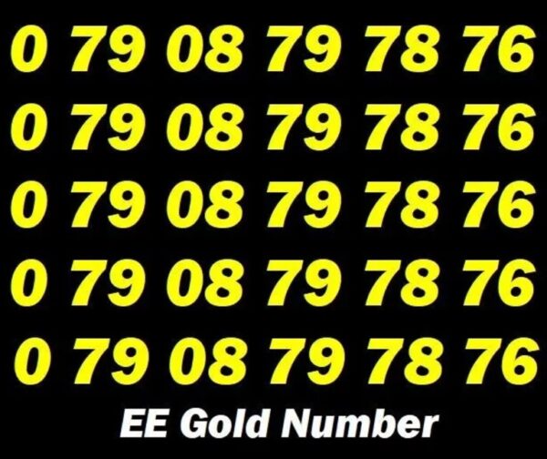 0 79 08 79 78 76 EE Vip Golden Mobile Number