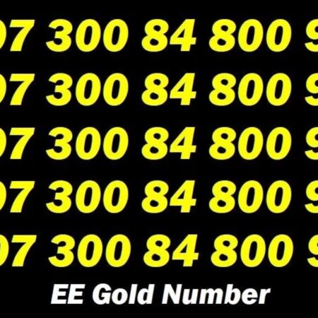 07 300 84 800 9 EE Vip Golden Mobile Number