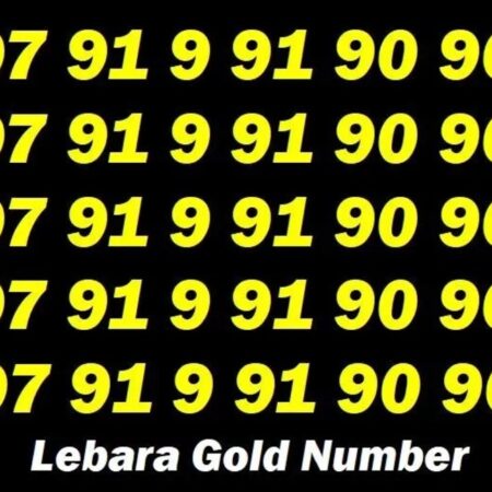 07 91 9 91 90 90 Lebara Exclusive Gold VIP Mobile Phone Number